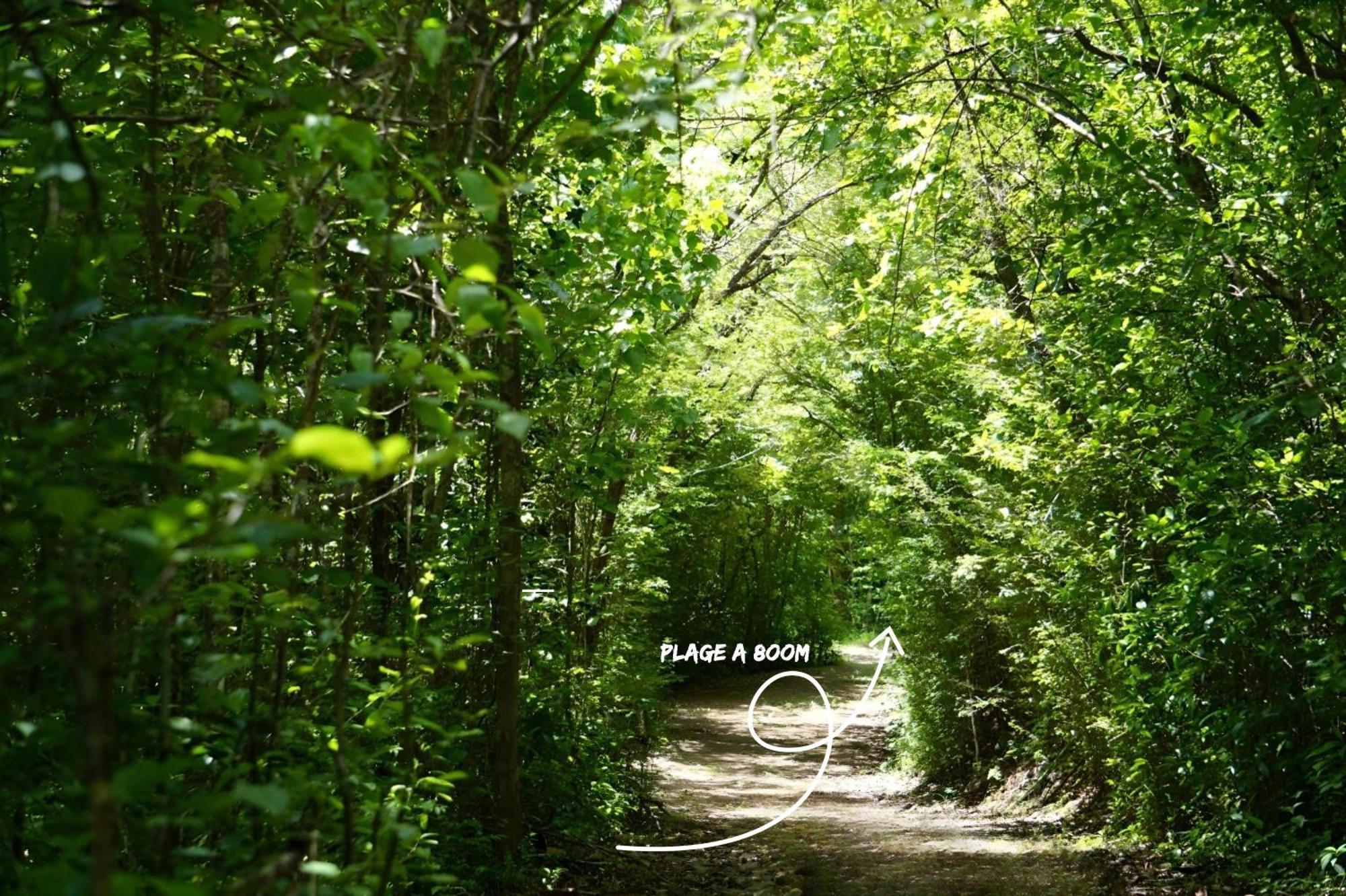 Domaine De L'Anse Ramier Aparthotel Les Trois-Ilets Luaran gambar