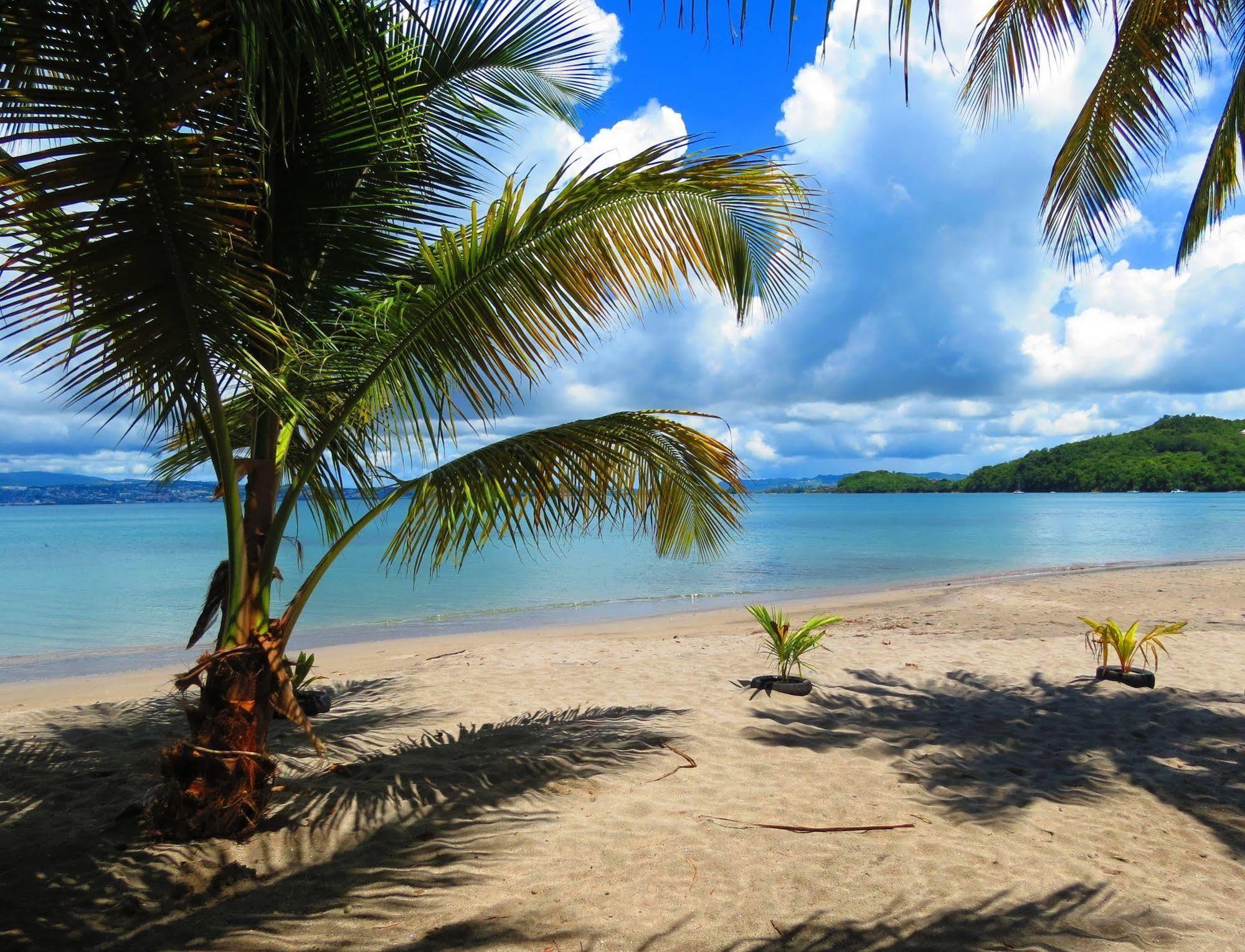 Domaine De L'Anse Ramier Aparthotel Les Trois-Ilets Luaran gambar